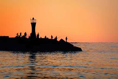 Olta Balıkçılığı